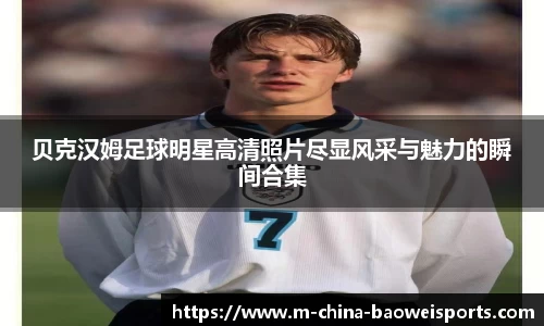 宝威体育官方网站